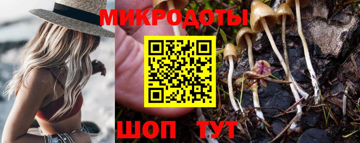 Донской  Псилоцибиновые грибы Magic Shrooms  Вход с VPN 